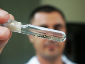 10 mil litros de novo inseticida serão comprados para reforçar combate ao Aedes Aegypti no Ceará
