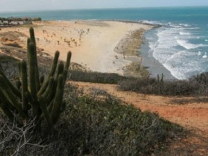 10 municípios cearenses são incluídos na região do Semiárido brasileiro