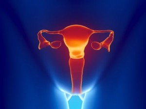 Câncer de colo do útero