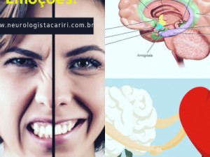 A “natureza” das emoções no cérebro humano