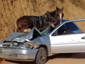 Acidente deixa 4 feridos e cavalo preso em cima de carro em SC