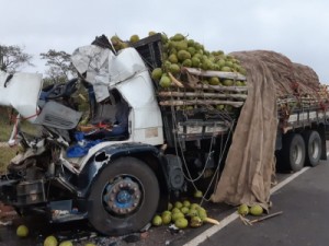 Acidente deixa quatro pessoas mortas após desviar de bois na Bahia