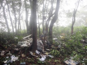 Aeronave cai em mata e 4 pessoas morrem em Bueno Brandão, MG