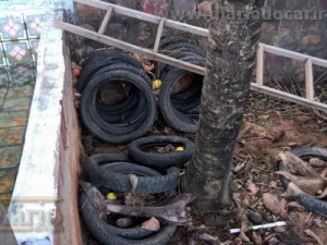 Agentes de Saúde e de Endemias continuam no combate ao Aedes Aegypti em Barbalha