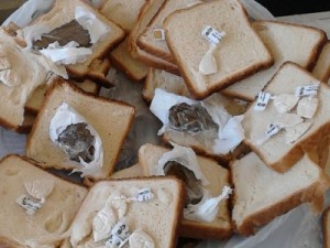 Agentes apreendem 'sanduíches de drogas' com visitante em cadeia do RJ