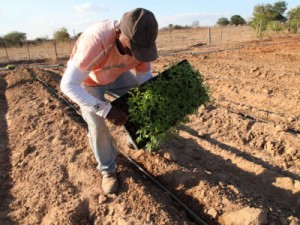 Agricultores familiares têm até o dia 31 de dezembro para regularizar cadastro ambiental