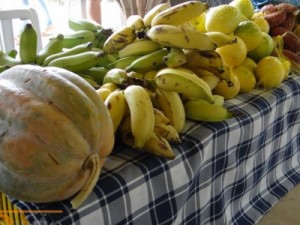 Agricultura Familiar e Secretário de Agricultura tem reunião, sexta-feira