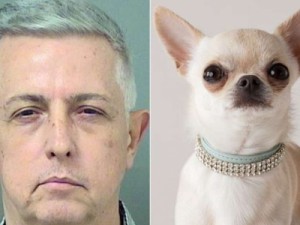 Americana denuncia marido ao flagrá-lo fazendo sexo com cão