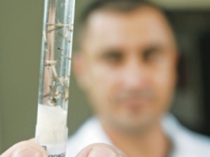 BALANÇO Ceará registra 5 mortes por dengue neste ano