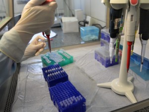 Banco de perfis genéticos é um importante aliado na elucidação de crimes no Ceará