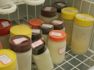 Bancos de leite dos hospitais estaduais recebem certificação de qualidade