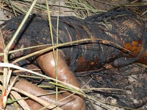 Barbalha-CE Corpo carbonizado movimenta plantão policial