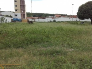 Barbalhenses pedem limpeza geral no Parque da Cidade