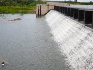 Barragem do Rio Cocó, em Fortaleza, atinge volume máximo após chuva de 120 mm