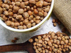 BNB investirá R$ 2,5 bi na agricultura familiar