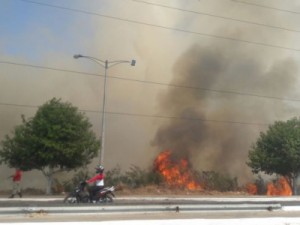 Bombeiros combatem incêndio às margens da Lagoa Bastiana