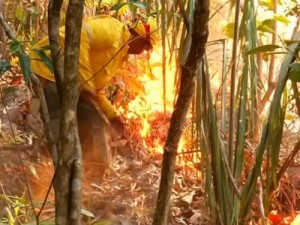 Bombeiros controlam incêndio em Crato, no Ceará, após 40 horas
