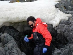Brasileiro descobre na Antártida bactérias que podem ajudar na luta contra o câncer