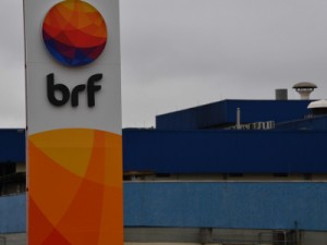 BRF: Risco de bactéria de salmonela tira do mercado 164,7 toneladas de franco