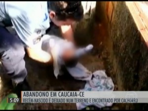 Cachorro salva a vida de bebê abandonado em caixa de papelão
