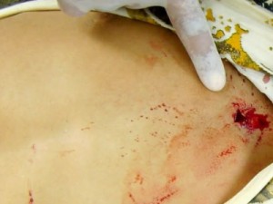 Campos Sales-CE Homem é morto a bala e o acusado é “Zé Bebim”