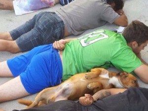 Cão se deita ao lado de suspeitos durante abordagem policial em SC