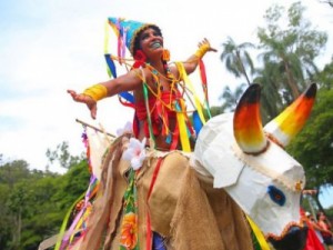 Cariri Encantado foi tema do Terreirada Cearense, no Rio de Janeiro