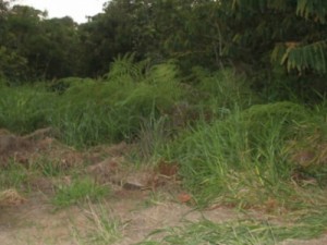 Carro falha na fuga e ladrão morre em confronto com PM após roubo em MT