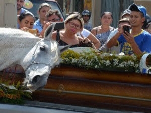 Cavalo comove família de vaqueiro morto ao 'se despedir' do dono na PB