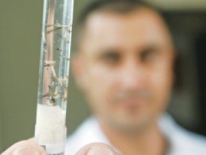 CE confirma mais 1.926 casos de dengue