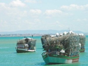 CE Sem depender de chuva, setor pesqueiro fatura R$ 1,2 bi