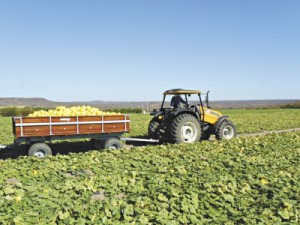 Ceará gera 993 novos postos formais em setembro