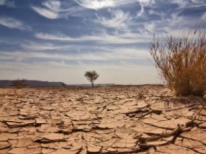 Ceará vive pior seca em 66 anos