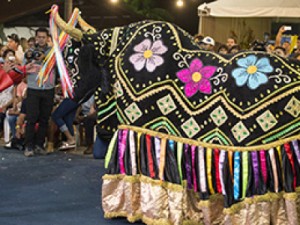 #CearádeAtitude: a paixão do Mestre Zé Pio em ensinar a magia do Bumba Meu Boi