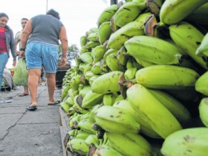 Ceasa Ceará aproveita 900 toneladas de alimentos que iriam para o lixo