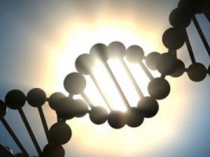 Células-tronco conseguem tratar doenças mitocondriais, diz estudo