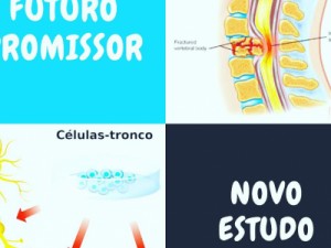 Células-tronco, novo estudo, futuro promissor, veja aqui