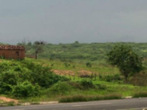 Chove em 28 cidades do Ceará na últimas 24 horas; Barroquinha recebe 68 milímetros