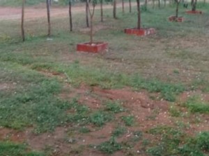 Chuva de granizo alegra população da zona rural de Icó