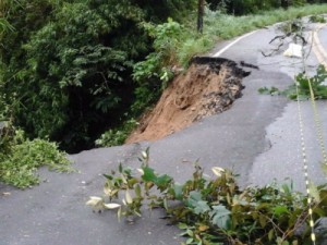 Chuva forte abre cratera e derruba árvores em cidades do Ceará