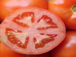 Chuvas no Ceará influenciam na queda do preço do tomate