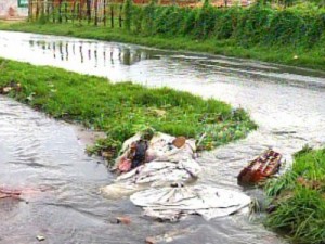 Cidades do CE sofrem alagamentos com chuvas de até 77 milímetros