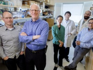 Cientistas descobrem composto que imobiliza célula do câncer e impede metástase