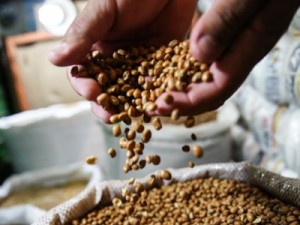 Com boas chuvas, cesta básica cai 11,52% na Ceasa em fevereiro