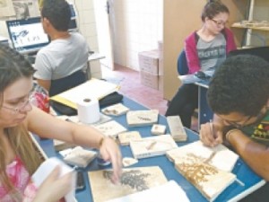 Começa triagem de fósseis apreendidos do contrabando