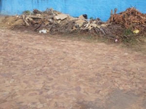 Comunidade do Parque Bulandeira reclama os descasos na limpeza pública 