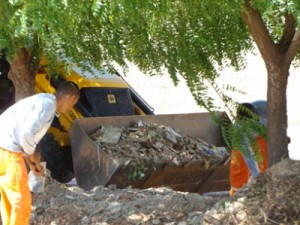 CONTINUAM OS TRABALHOS DE LIMPEZA URBANA NOS BAIRROS E AVENIDAS DE BARBALHA