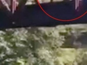 Criança de 4 anos é atirada de ponte a 7 metros de altura nos EUA