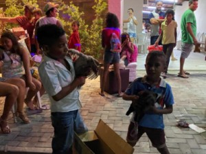 Crianças pedem galinhas em carta a Papai Noel para a família comer ovos todos os dias