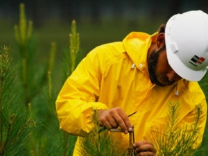 CVTEC de Barbalha tem vagas abertas para os cursos de Agricultura e Meio Ambiente